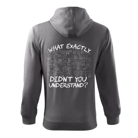 What exactly didn't you understand - physics