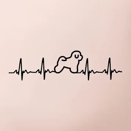 Bišónik ekg