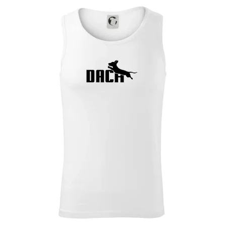 Jazvečík Dach