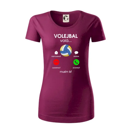 Volejbal volá