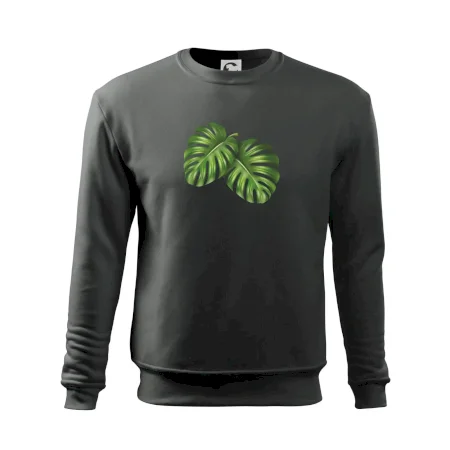 Monstera - dva listy