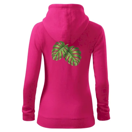 Monstera - dva listy