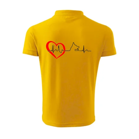 Nemecký ovčiak ekg
