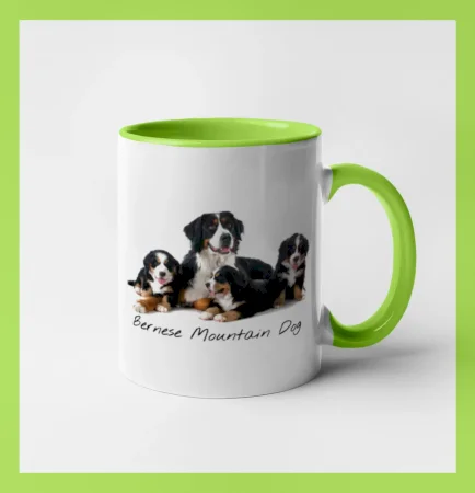 Bernese mountain dog celá rodina
