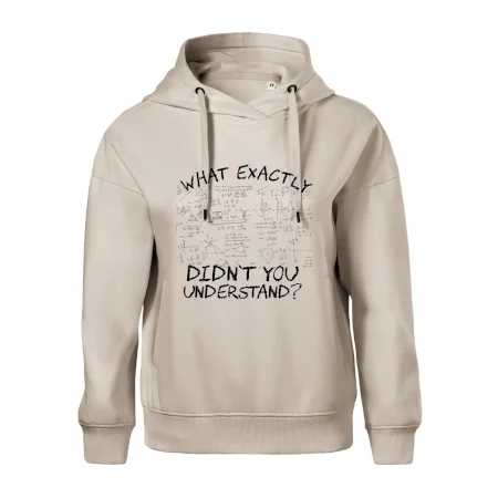 What exactly didn't you understand - physics