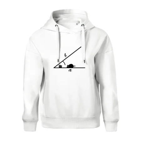 Matematická myš