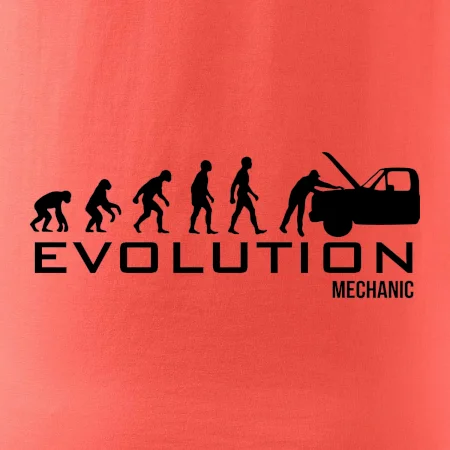 Evolúcia mechanik