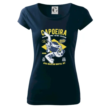 Capoeira  Afro-brazil art