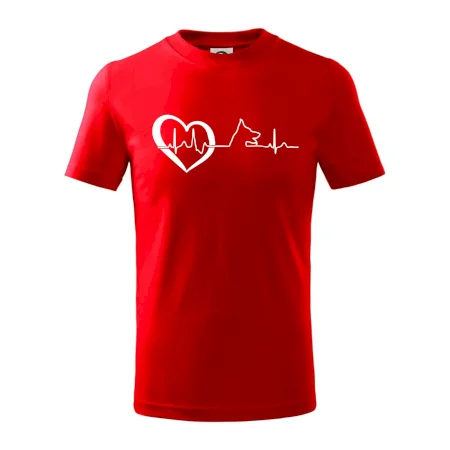 Nemecký ovčiak ekg