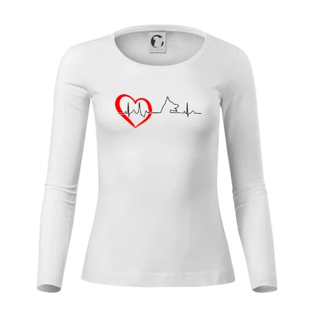 Nemecký ovčiak ekg