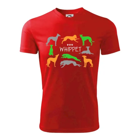 Whippet farebný