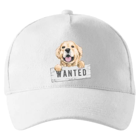Zlatý retriever - šteniatko wanted