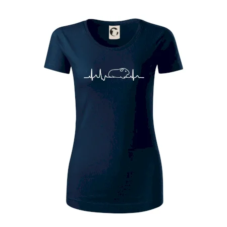 EKG morča