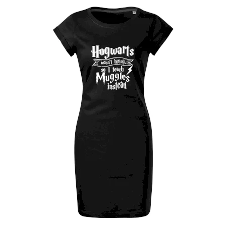 Harry - Hogwarts wasn’t hiring, so I teach Muggles instead