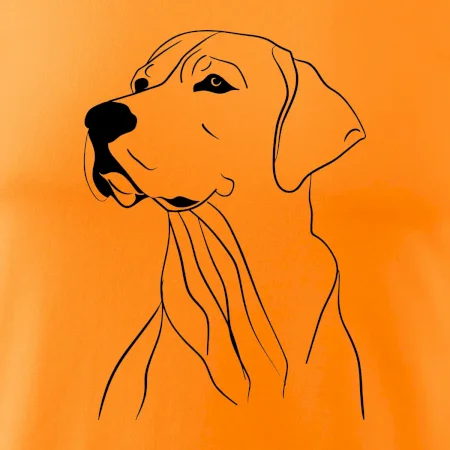Labrador čierna kresba