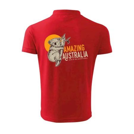 Amazing Australia koala