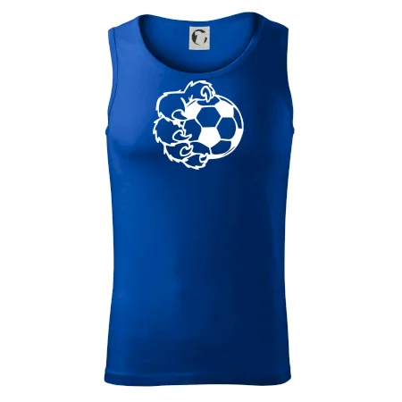 Medvedia laba futbal