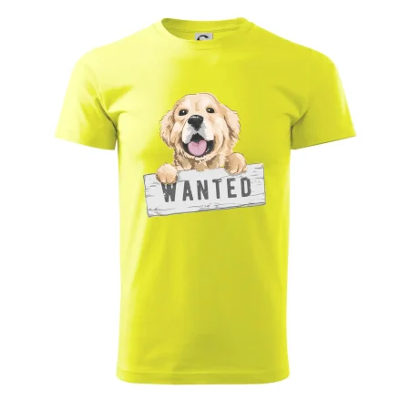 Zlatý retriever - šteniatko wanted