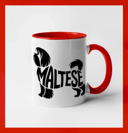 Maltézsky psík nápis v tele