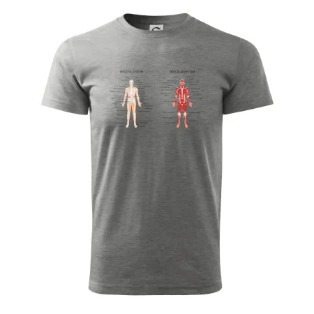 Skelet and Moscular system