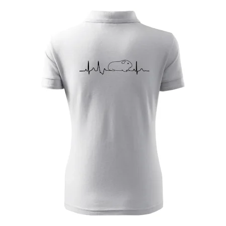 EKG morča