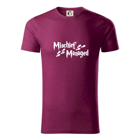 Harry - Mischief Managed