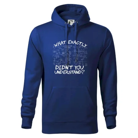 What exactly didn't you understand - physics