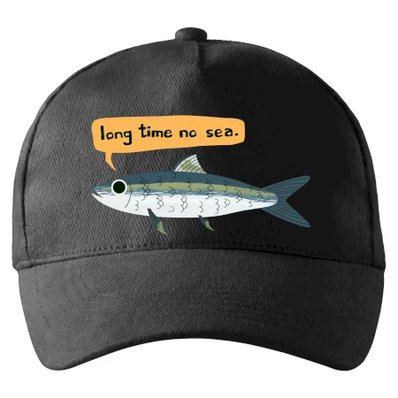 Long time no sea