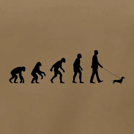 Jazvečík Evolúcia muž / žena