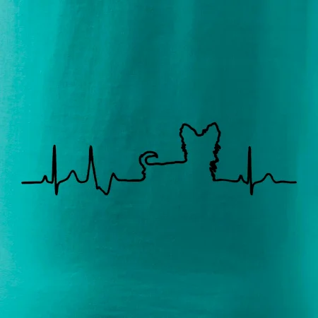 Yorkshirský teriér EKG