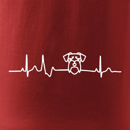 Ekg bradáč hlava