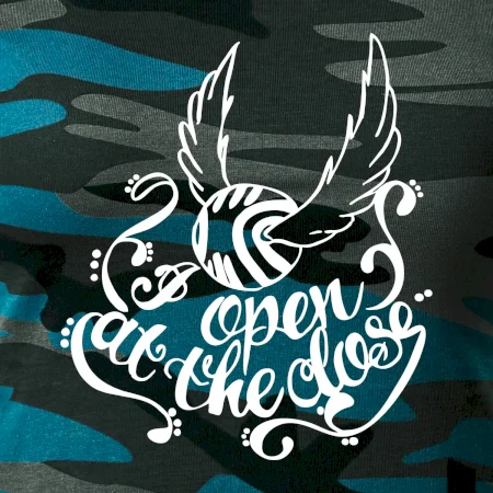 Harry - Zlatá strela