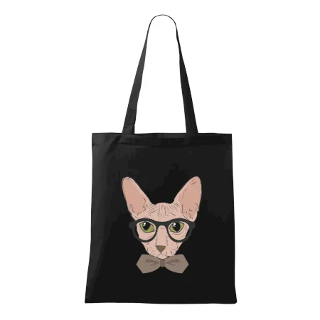Hipster sphynx