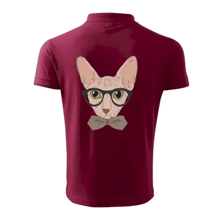 Hipster sphynx