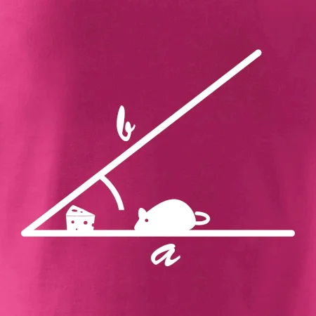 Matematická myš
