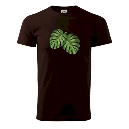 Monstera - dva listy