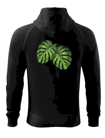 Monstera - dva listy