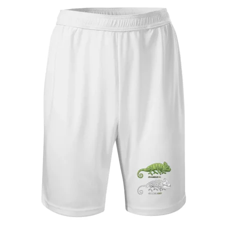 ChameleON_OFF (Hana-creative)