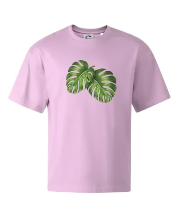 Monstera - dva listy