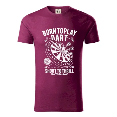 Born To Play Dart