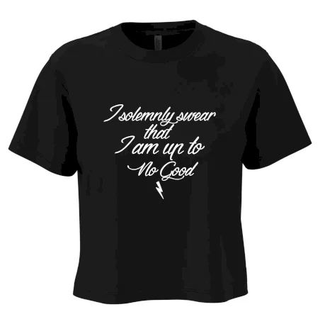I solemnly swear that I'm up to no good