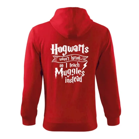 Harry - Hogwarts wasn’t hiring, so I teach Muggles instead