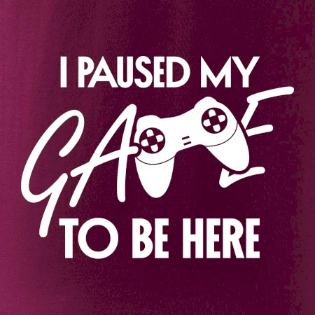 I paused my game to be here