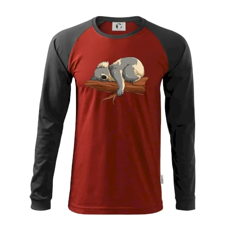 Koala na vetve