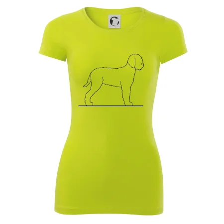 Lagotto romagnolo stojaci
