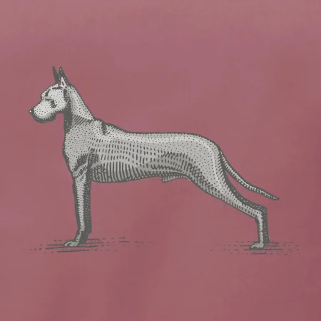Vintage Great dane