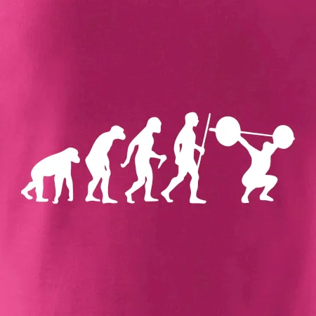 Evolution fitness