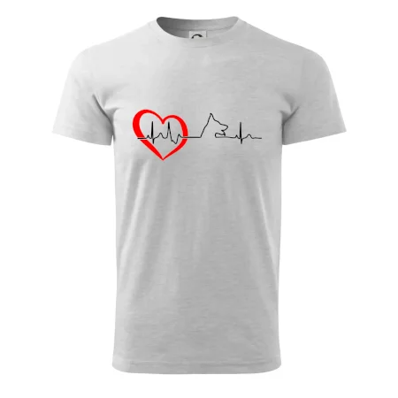 Nemecký ovčiak ekg