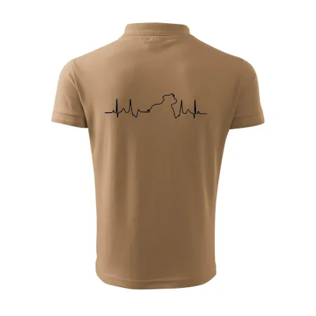 Stafordšírsky bulteriér ‎ EKG