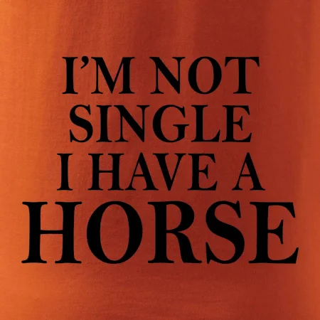 I have a horse